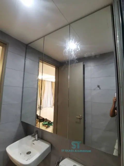 4G Toilet Mirror Cabinet — Cabinet Series by ST Glass Aluminium thumbnail 1