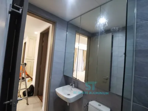 4G Toilet Mirror Cabinet — Cabinet Series by ST Glass Aluminium thumbnail 4