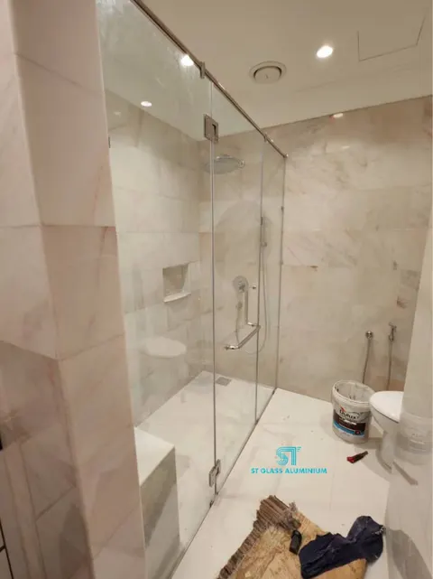 Shower Screen Door